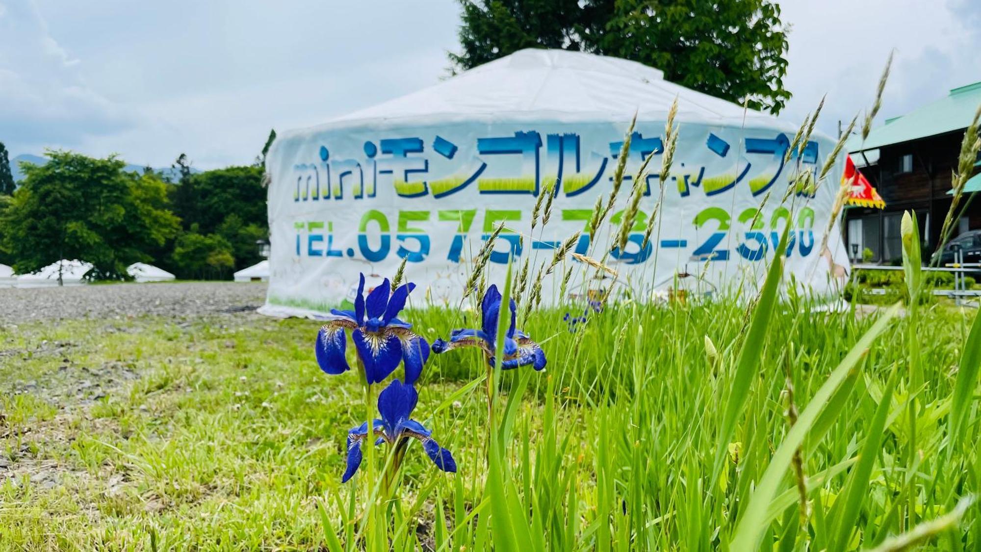 Miniモンゴルキャンプ場 Camping *